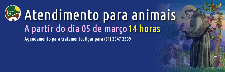 Atendimento para animais