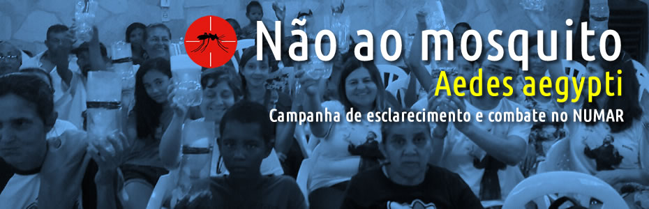 Não ao mosquito Aedes aegypti – Campanha NUMAR