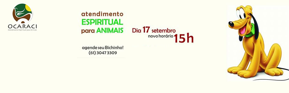 Ocaraci – Atendimento Espiritual para animais