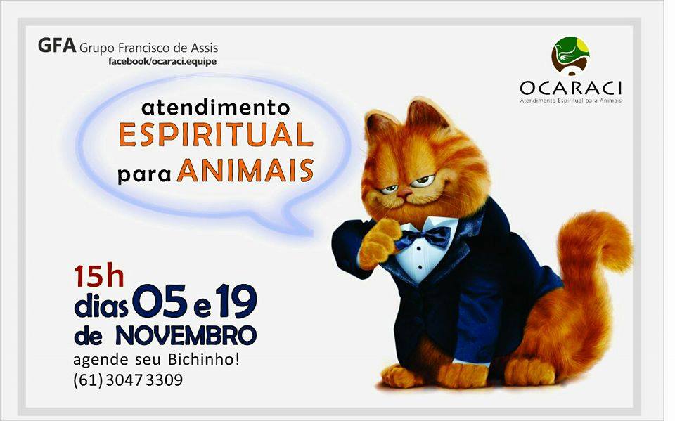 Ocaraci – Atendimento Espiritual para animais