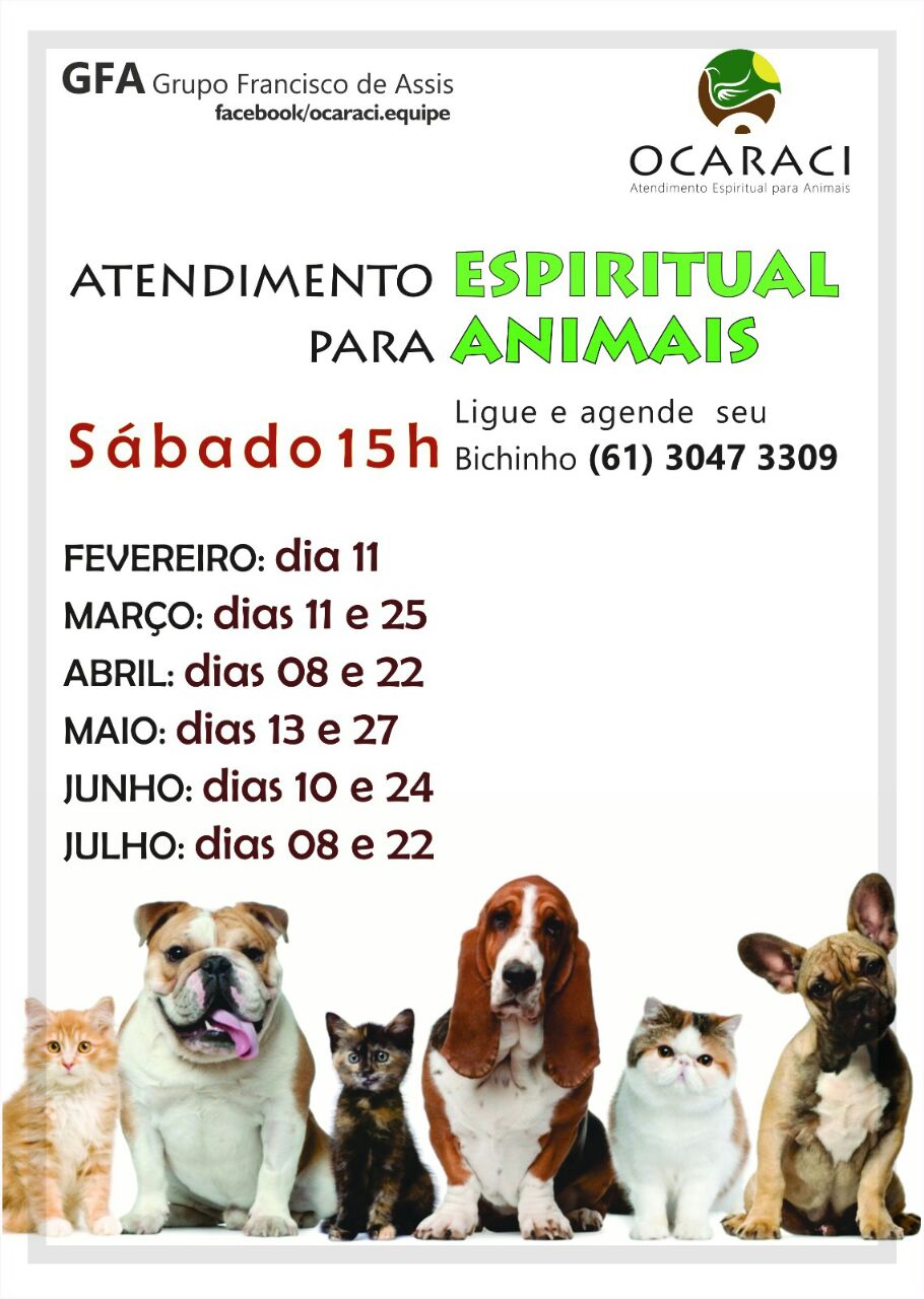 Ocaraci – Atendimento Espiritual para animais